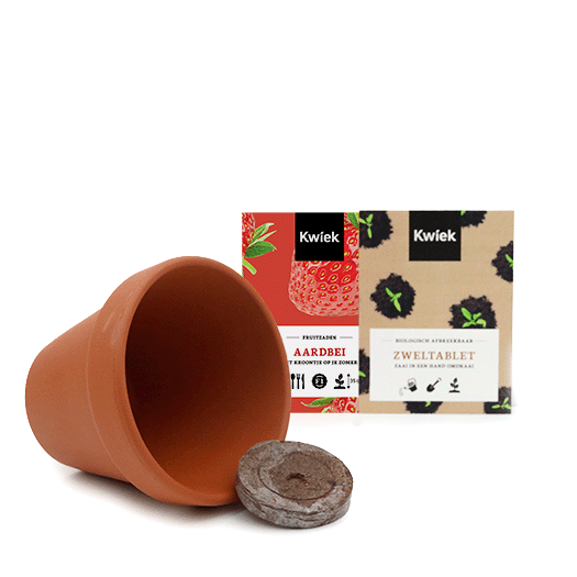 Inhoud terracotta potje aardbei