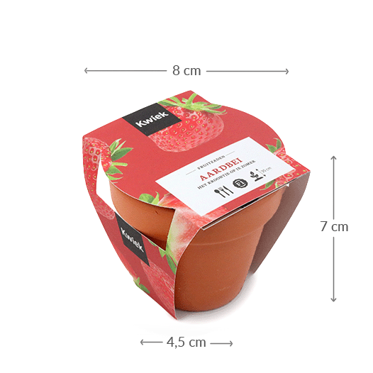 Maatgeving terracotta potje aardbei