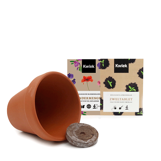Biologische vlinderbloemen zaden in terracotta potje - Kwiek PootPotje, afbeelding 2 van 3