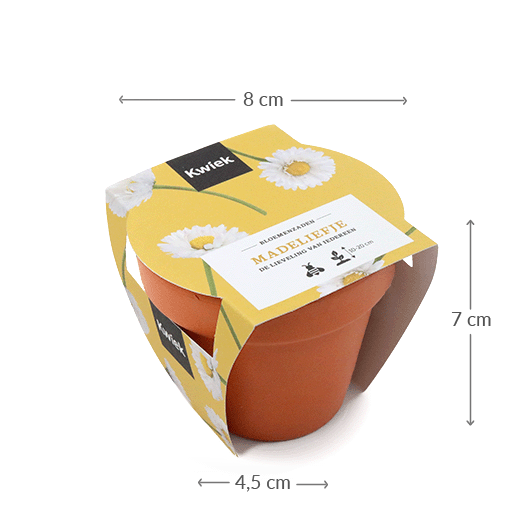 Maatgeving terracotta potje madeliefje