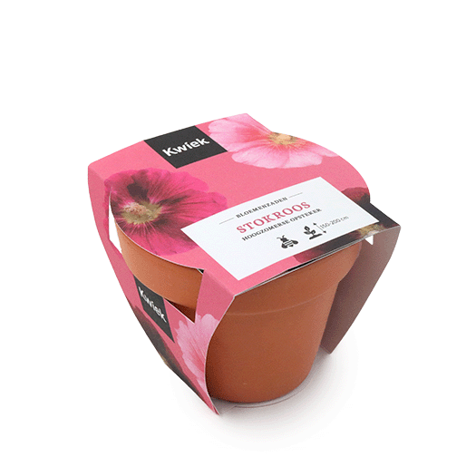Terracotta potje stokroos