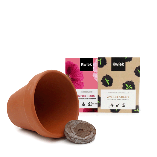 Inhoud terracotta potje stokroos