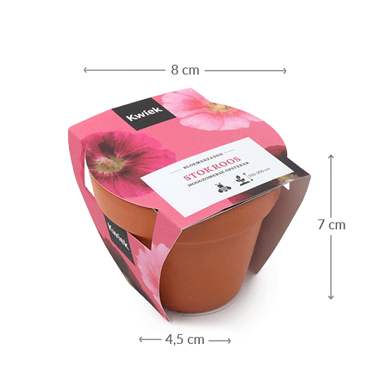 Maatgeving terracotta potje stokroos