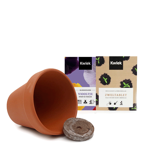 Inhoud terracotta potje viool