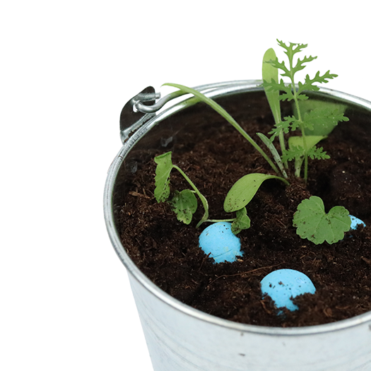 Zaadbommetjes per stuk - blauw, afbeelding 3 van 4