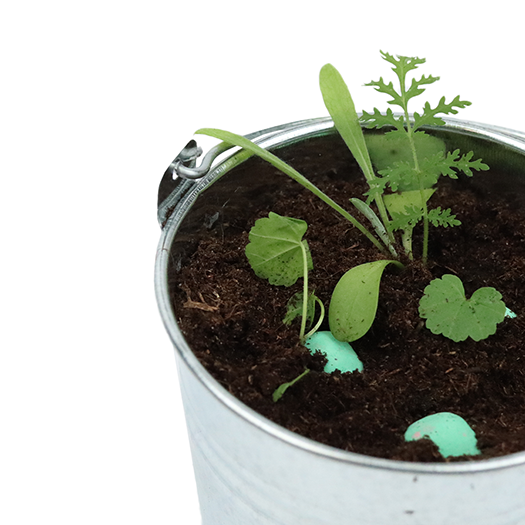 Zaadbommetjes per stuk - groen, afbeelding 3 van 4